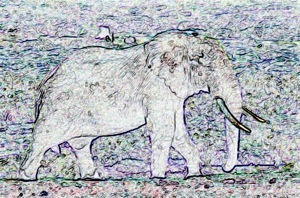 ELEPHANT SKETCH CAVE PAINTING