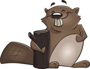 Karlheinz Beaver